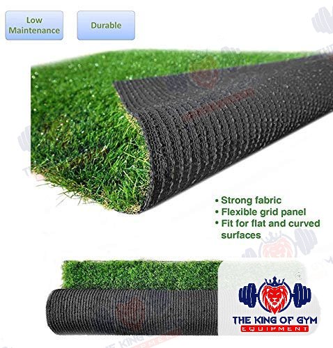 Durable low-maintenance grass